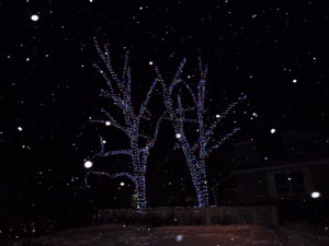 BVT Christmas Lights 01-01