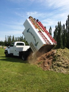 BVT Dump Site 01-01