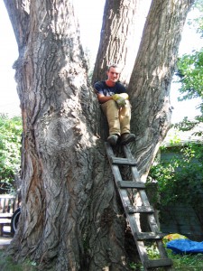 BVT Tree Removal 10-05 BVT Tree Removal 10-05