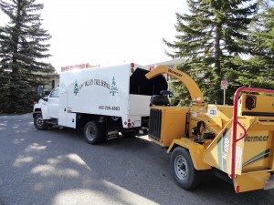 BVT Truck and Chipper 01-05
